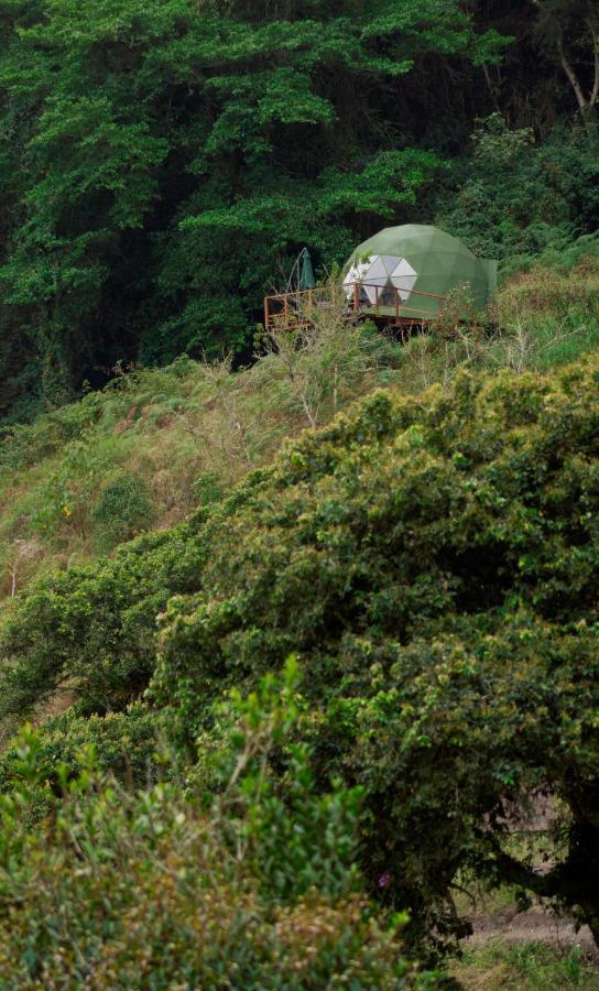 Cuspide Lodge - Choachí Eksteriør bilde
