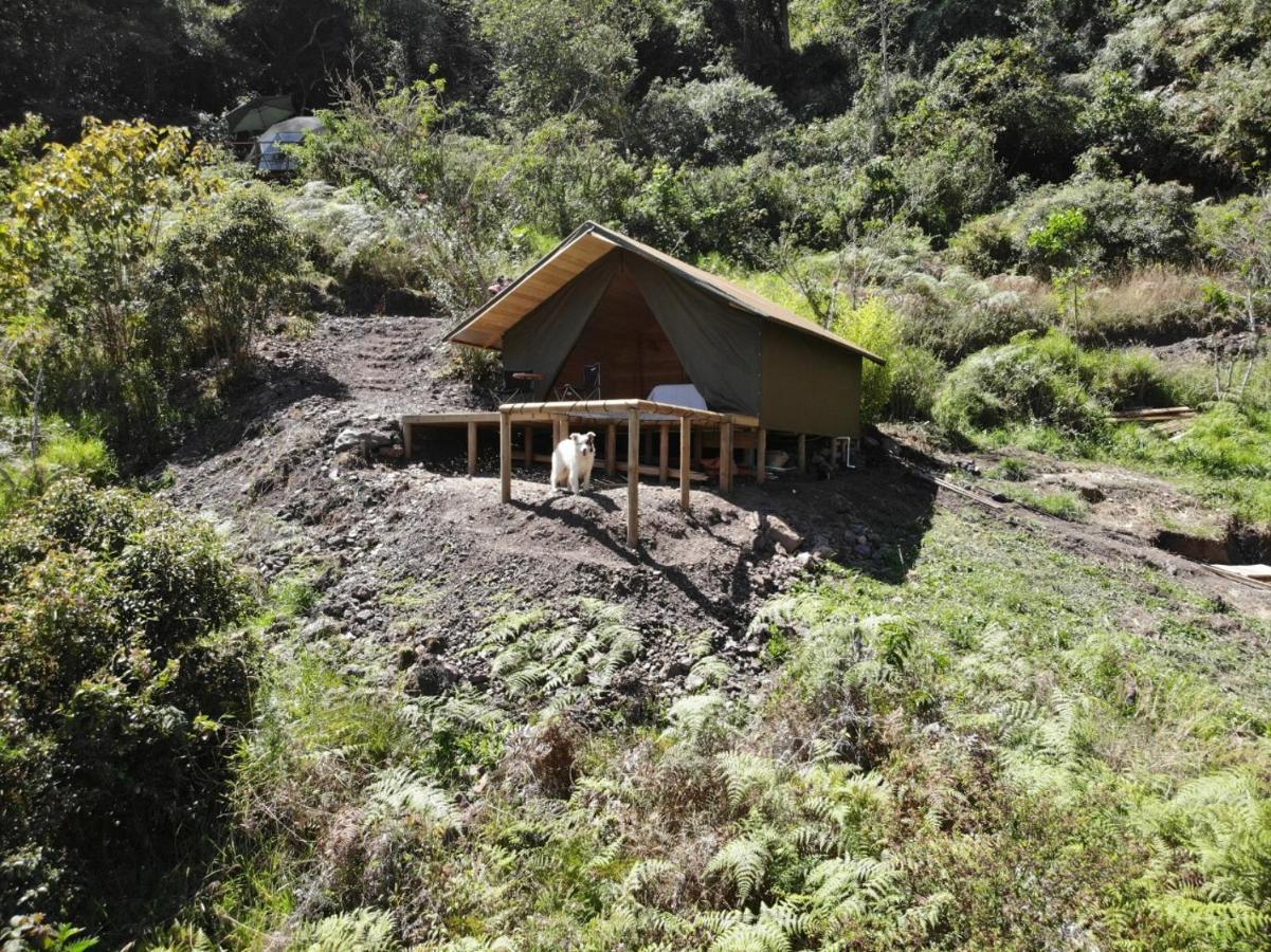 Cuspide Lodge - Choachí Eksteriør bilde